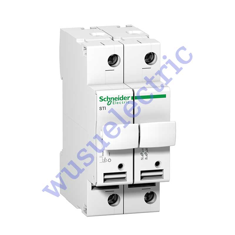 Schneider A9N15651 Fuse-disconnector