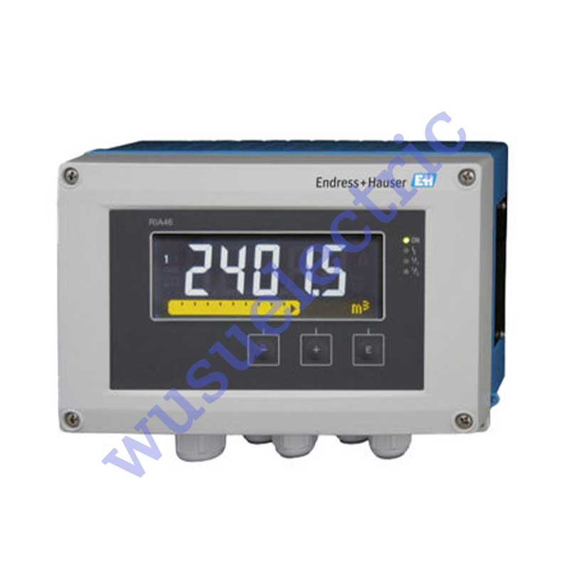 Endress+Hauser RIA46-A1B1A MULTI METER