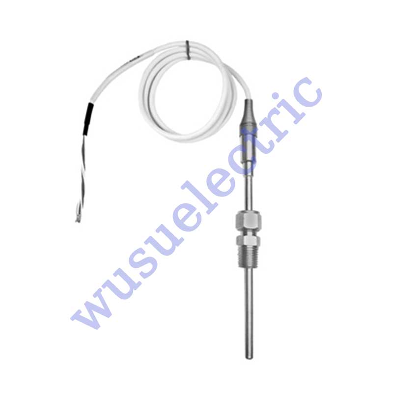 Endress+Hauser TST310 Cable probe